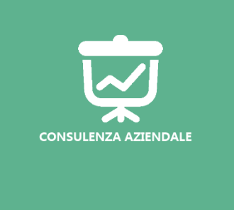 consulenza aziendale